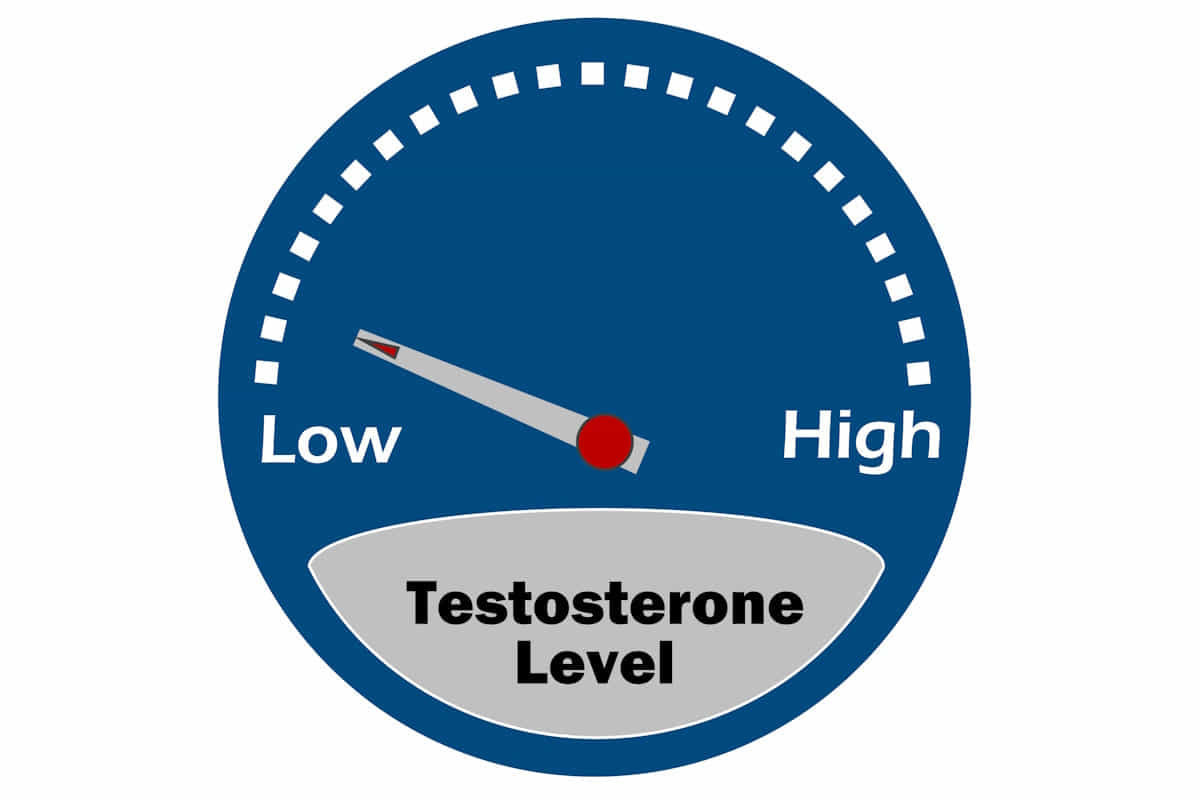 empatia testosterone