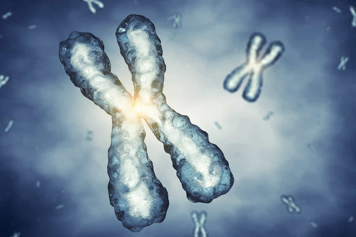 invecchiamento cellulare telomeri