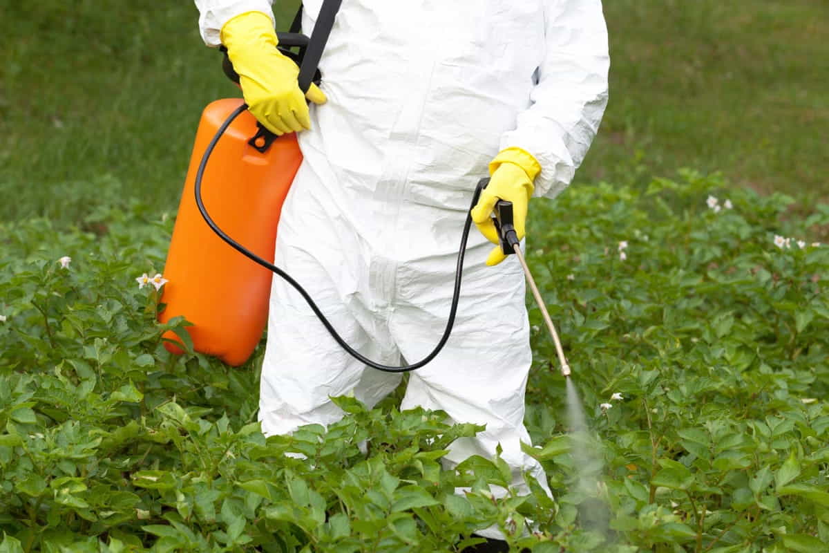 pesticidi nel piatto Agrofarma