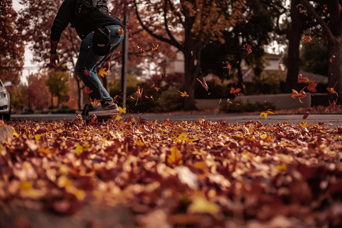 equinozio d'autunno